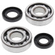 All balls підшипники коленвала з сальниками kawasaki kx 250 '80-'86, kdx 250 '80-'84