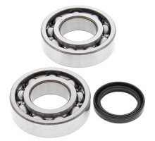 All balls підшипники коленвала з сальниками kawasaki kxf 250 '04-'20, suzuki rmz 250 '04-'06