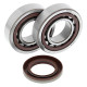 All balls підшипники коленвала з Прокладкими ktm sx/exc 400/450/520/525