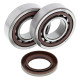 All balls підшипники коленвала з Прокладкими ktm sx/exc 400/450/520/525