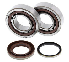 All balls підшипники коленвала з Прокладкими ktm sxf/excf 250 '06-'12