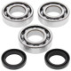 All balls підшипники коленвала з Прокладкими polaris trail blazer 250 99-06, trail boss 250 99, xplorer 250 00-02