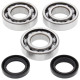 All balls підшипники коленвала з Прокладкими polaris trail blazer 250 99-06, trail boss 250 99, xplorer 250 00-02