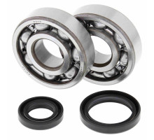 All balls підшипники коленвала з сальниками suzuki rm 125 '89-'08