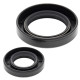 ALL BALLS Прокладки колінчастого вала HONDA CR250R 92-07