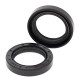 ALL BALLS Прокладки колінчастого вала POLARIS TRAIL BLAZER 250 90-92, TRAIL BOSS 250 85-92