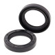 ALL BALLS Прокладки колінчастого вала POLARIS TRAIL BLAZER 250 90-92, TRAIL BOSS 250 85-92