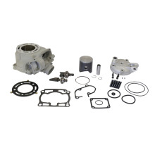Циліндр athena в комплекті kawasaki kx 125 '03-'07 58mm big bore +4mm (144ccm) в комплекті з випускним клапаном та головкою Циліндру
