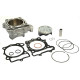 Athena Циліндр комплект kawasaki kxf 250 '11-'12 big bore 83mm (+6mm=290ccm) 14.2:1