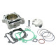 Athena Циліндр комплект kawasaki kxf 450 '06-'08, klx 450r '08-'13 std=96mm 12.2:1 (kxf450)