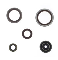 ATHENA Комплект Прокладок для двигуна BETA RR 250 / 300 RR RACING '13-'25 (ZAST?PUJE P400060400011)