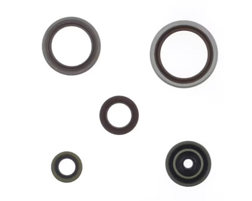 ATHENA Комплект Прокладок для двигуна BETA RR 250 / 300 RR RACING '13-'25 (ZAST?PUJE P400060400011)