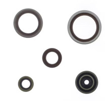 ATHENA Комплект Прокладок для двигуна BETA RR 250 / 300 RR RACING '13-'25 (ZAST?PUJE P400060400011)