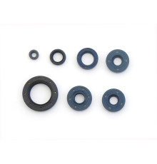 ATHENA Комплект Прокладок для двигуна BMW F650 GS '99-'08, F650/ST '93-'98, F650 CS, G650 GS/X, BOMBARDIER DS 650 '00