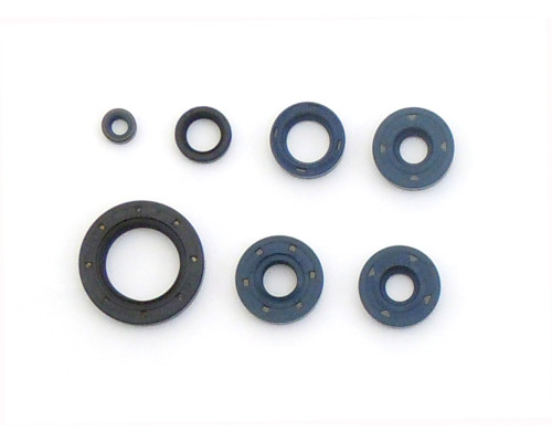 ATHENA Комплект Прокладок для двигуна BMW F650 GS '99-'08, F650/ST '93-'98, F650 CS, G650 GS/X, BOMBARDIER DS 650 '00