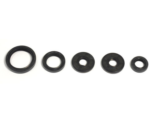 Комплект ущільнень двигуна athena bmw g450x 07-10/husq tc-te-txc449 11-14