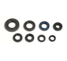 ATHENA Комплект Прокладок для двигуна HONDA CR 80/85 85-07