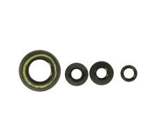 ATHENA Комплект Прокладок для двигуна HONDA XL 650V TRANSALP '00-'06