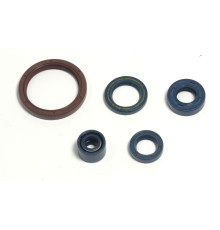 ATHENA Комплект Прокладок для двигуна HUSQVARNA TE 250 03-09, TE 310 09-10, TE 450/510 03-10, TC 250/310/450