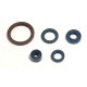 ATHENA Комплект Прокладок для двигуна HUSQVARNA TE 250 03-09, TE 310 09-10, TE 450/510 03-10, TC 250/310/450