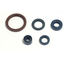 ATHENA Комплект Прокладок для двигуна HUSQVARNA TE 250 03-09, TE 310 09-10, TE 450/510 03-10, TC 250/310/450