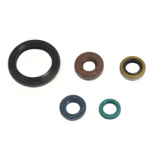 ATHENA Комплект Прокладок для двигуна KAWASAKI KLX 250 09-12, KLX 250S 07-12