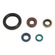 ATHENA Комплект Прокладок для двигуна KAWASAKI KLX 250 09-12, KLX 250S 07-12