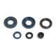 ATHENA Комплект Прокладок для двигуна KAWASAKI KX 60 85-03