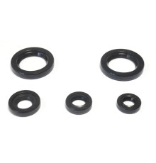 ATHENA Комплект Прокладок для двигуна KTM DUKE 125 '11-16, DUKE 200 '12-16, RC 200 '15-16