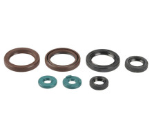 ATHENA Комплект Прокладок для двигуна KTM EXCF400/450/530`09-11