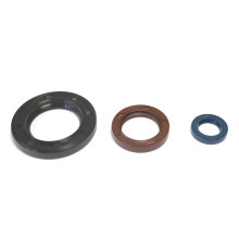 ATHENA Комплект Прокладок для двигуна KTM GS 250 80-81