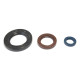 ATHENA Комплект Прокладок для двигуна KTM GS 250 80-81