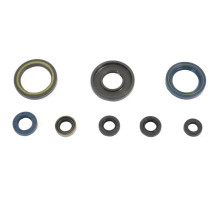 ATHENA Комплект Прокладок для двигуна KTM GS 250 84-89