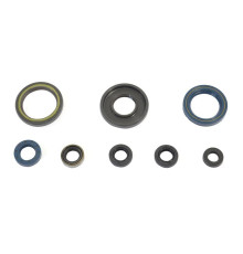 ATHENA Комплект Прокладок для двигуна KTM GS 250 84-89