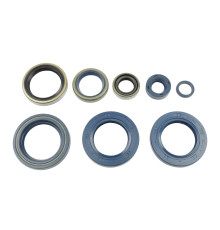 ATHENA Комплект Прокладок для двигуна KTM LC4 625/640/660`03-07