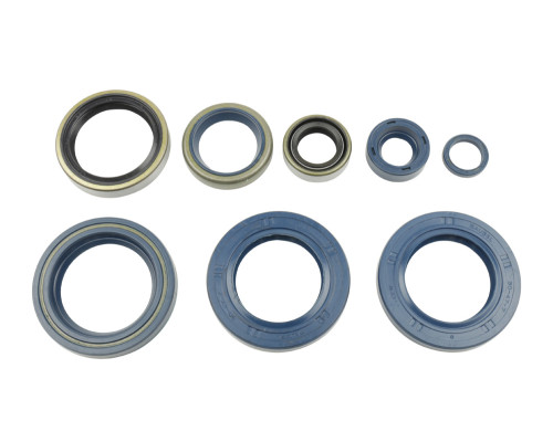 ATHENA Комплект Прокладок для двигуна KTM LC4 625/640/660`03-07