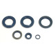 ATHENA Комплект Прокладок для двигуна KTM LC4 EGS400/620`96-98, LC4-E400`98-02, LC4 620`96-01