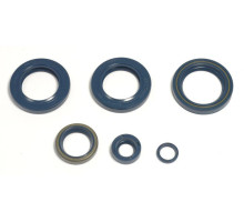 ATHENA Комплект Прокладок для двигуна KTM LC4 EGS400/620`96-98, LC4-E400`98-02, LC4 620`96-01