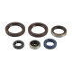 ATHENA Комплект Прокладок для двигуна KTM SX 125/144/150/200 98-15, EXC 125/200 98-16