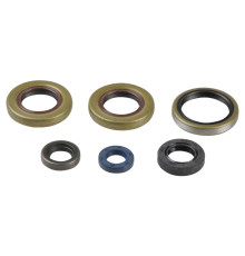 ATHENA Комплект Прокладок для двигуна KTM SX 65 01-08