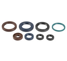 ATHENA Комплект Прокладок для двигуна KTM SXF 250 06-12, EXCF 250 05-13