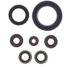 ATHENA Комплект Прокладок для двигуна SHERCO SEF-R 250/300 14-20