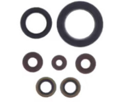 ATHENA Комплект Прокладок для двигуна SHERCO SEF-R 250/300 14-20