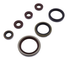 ATHENA Комплект Прокладок для двигуна SHERCO SE-R 250/300 14-20