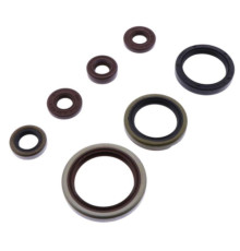 ATHENA Комплект Прокладок для двигуна SHERCO SE-R 250/300 14-20
