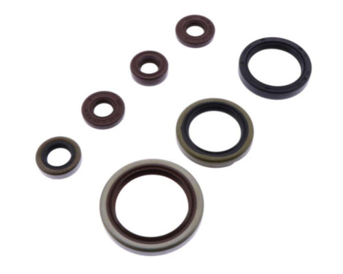 ATHENA Комплект Прокладок для двигуна SHERCO SE-R 250/300 14-20