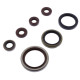 ATHENA Комплект Прокладок для двигуна SHERCO SE-R 250/300 14-20