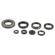 ATHENA Комплект Прокладок для двигуна SUZUKI RM 250 03-08