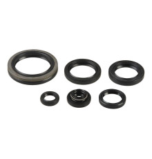 ATHENA Комплект Прокладок для двигуна SUZUKI RM 250 96-02