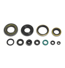 ATHENA Комплект Комплект Прокладок для двигуна KAWASAKI KX 250 '95-'04